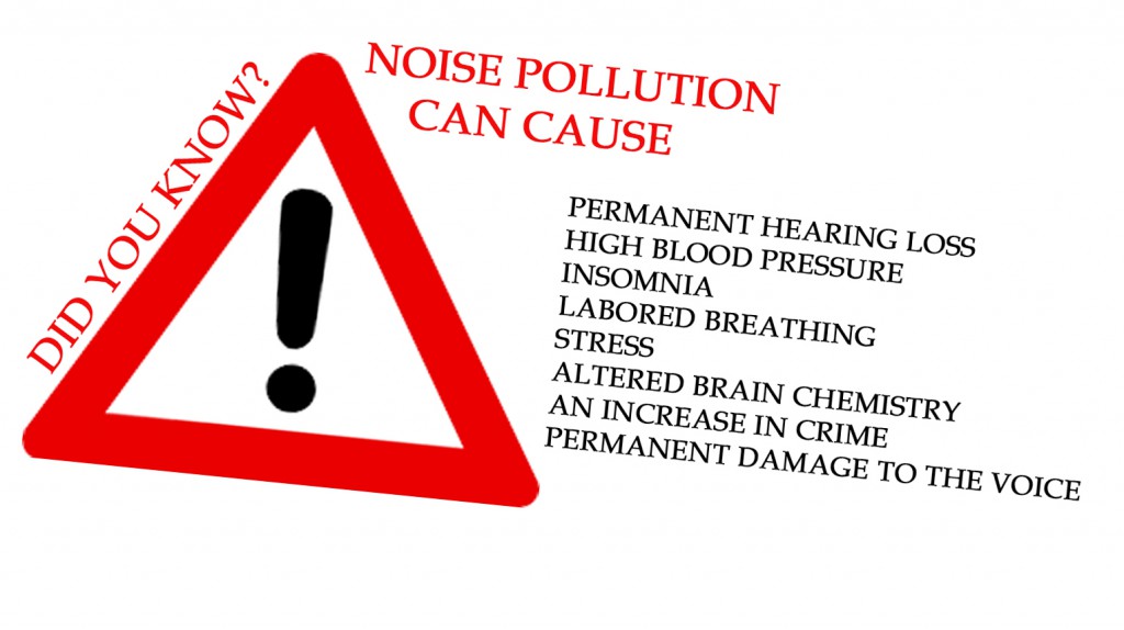 NOISE POLLUTION DID YOU KNOW